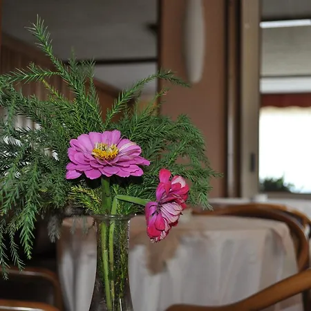 Szálloda Hotel Premeno